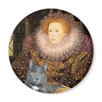Queen - grey cat