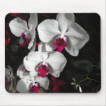 Queen Orchid mousepads