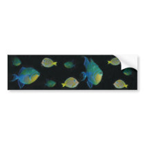 Queen Triggerfish bumper stickers