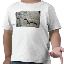 Queen Tuwarissa, wife of King Araras T-shirt