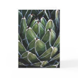 Queen Victoria agave notecard