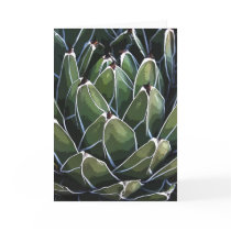 Queen Victoria agave notecard