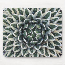 Queen Victoria agave, variegated Mousepad