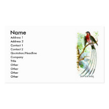 Queen Whydah Business Card Templates