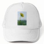 question the sky mesh hat