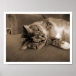 Quiescence in Rust posters
