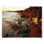 Quiet Beach Photo Art