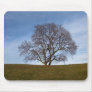 quiet centre mouse mats