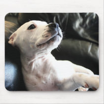 Quiet Contemplation Mouse Mats