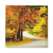 Quiet Country Lane in Autumn Magnet