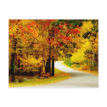 Quiet Country Lane in Autumn Postcard