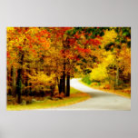 Quiet Country Lane in Autumn Poster posters