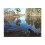 Quiet Cove w/dog ~ postcard