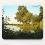 Quiet Morning mousepads