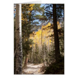 Quiet Mountain Trail Cards