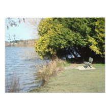 Quiet Place To Rest Photo