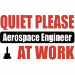 Quiet Please Aerospace Engineer At Work photo sculptures