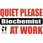 Quiet Please Biochemist At Work photo sculptures