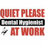 Quiet Please Dental Hygienist At Work photo sculptures
