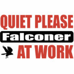 Quiet Please Falconer At Work photo sculptures