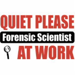 Quiet Please Forensic Scientist At Work photo sculptures
