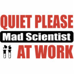 Quiet Please Mad Scientist At Work photo sculptures