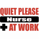 Quiet Please Nurse At Work photo sculptures