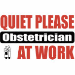 Quiet Please Obstetrician At Work photo sculptures