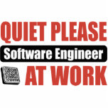 Quiet Please Software Engineer At Work photo sculptures