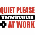 Quiet Please Veterinarian At Work photo sculptures