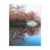 Quiet reflections ~ postcard
