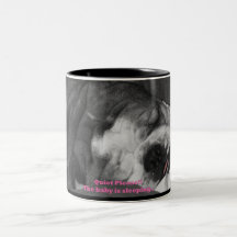 quiet the baby is sleeping coffee mugs
