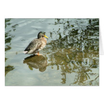 Quiet Waters | Greeting Card