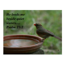 Quiet Waters Post Card