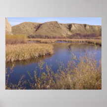 quiet waters poster