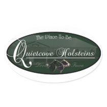 Quietcove Logo Sticker