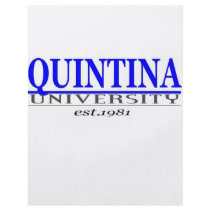 quin. univ flyers