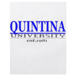quin. univ flyers