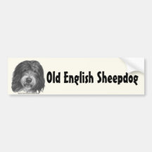 Quincy, Old English Sheepdog Bumper Sticker