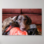 Quincy posters