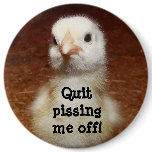 Quit Pissing Me off! Angry Chick buttons