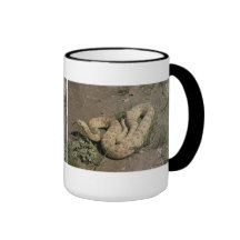 R0006 Prairie Rattlesnake mug