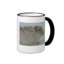 R0011 Snowshoe Hare Head Shot mug