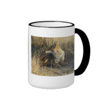 R0016 Coyote Scratching mug