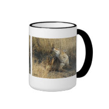 R0017 Coyote Scratching mug