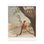 R is for Robin postcards