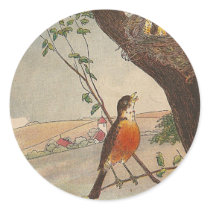 R is for Robin