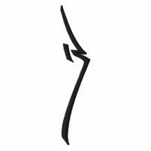 R logo emboidered hoodie