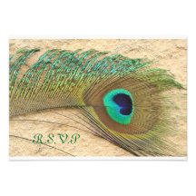 R.S.V.P. PEACOCK FEATHER MATCHING INVITATIONS