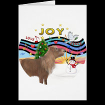 R-XmasMusic 1 -Shetland Pony cards